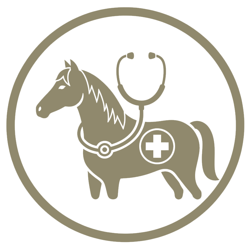 Preventative care icon